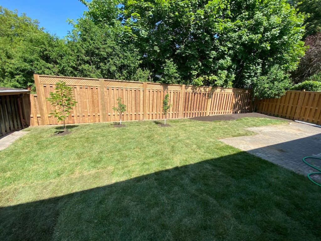 sod installation with a new fences