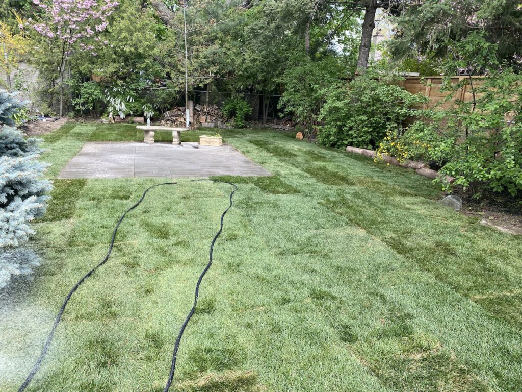 backyard got fresh grass sod 